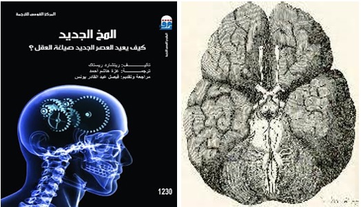 قراءة في كتاب: الدماغ الجديد – كيف يعيد العصر الحديث صياغة العقل